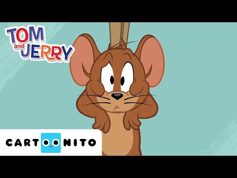 TOM VE JERRY ŞOV | Otel Temizliği | @CartoonitoTurkiye