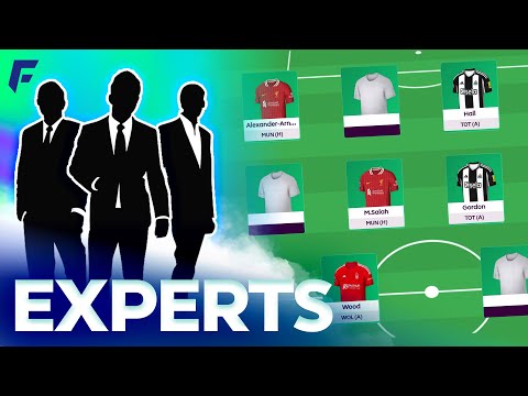 FPL GW20 EXPERTS TEAM | WILDCARD TEAM!