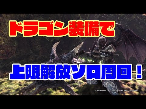 【MHWI】ドラゴン4部位使用版:導きの地上限解放ソロ周回装備を紹介。目指せALL7！