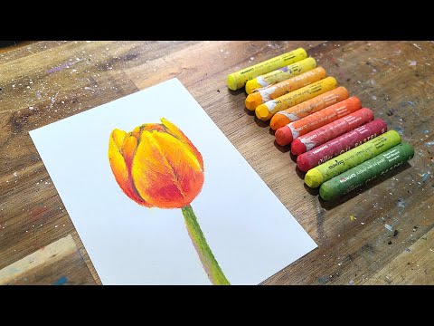 Gradation tulip drawing, coloring flower with oil pastel