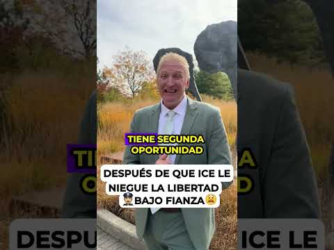 Después De Que Ice Le Niegue La Libertad Bajo Fianza