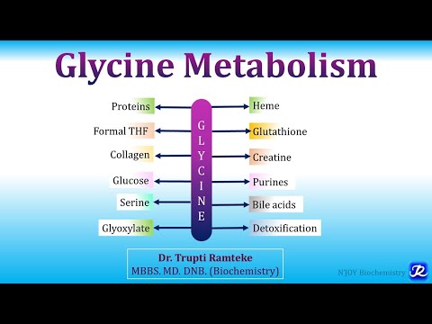 15: Glycine Metabolism | Amino Acid Metabolism |Biochemistry | N'JOY Biochemistry