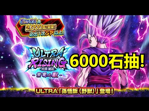 【七龍珠 激戰傳說】「ULTRA RISING - 紫電之獸 -」UL「野獸 孫悟飯」6000石抽 紀錄