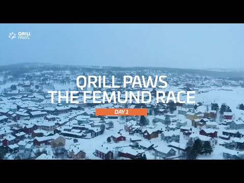 Femundløpet Highlight | DAY 1 | QRILLPAWS 2022