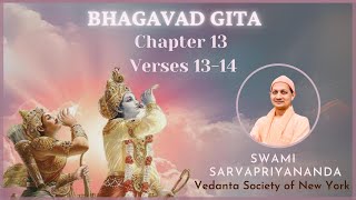 154. Bhagavad Gita Chapter 13 Verses 13-14 I Swami Sarvapriyananda