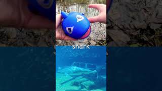 Learn Sea Animal Names at the Pond for Babies Kids: Clownfish Shark Whale Shark Octopus Puffer Fish