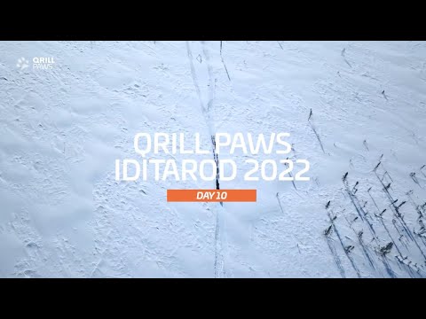 Watch BRENT SASS win the Iditarod 2022 // Highlight | DAY 10 | QRILL PAWS