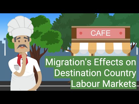 Effects of Migration on the Labour Market in Countries of Destinations