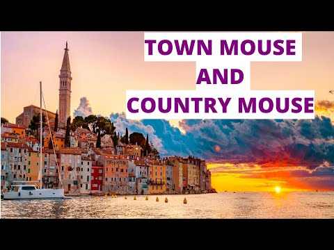 Town and Country mouse - Poslouchej a sleduj překlad