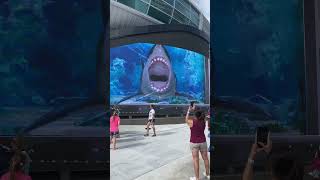 3D Shark Action! Runnnn!!! #bahamas #nassau #shark #epic  #wow