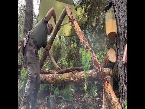 Ultimate Forest Survival Shelter | Building and Thriving in the Wild