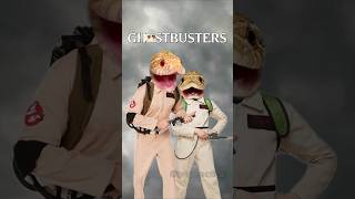 GHOSTBUSTERS! #halloweenwithshorts #halloween #ghostbusters