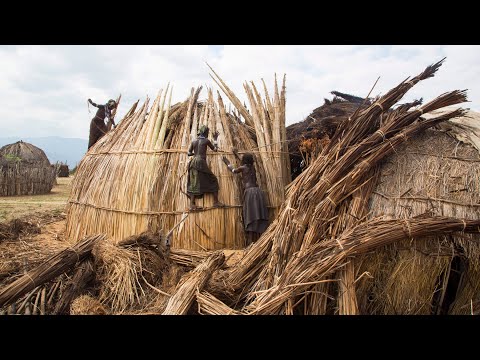 Sustainable Living - Hut of Reeds