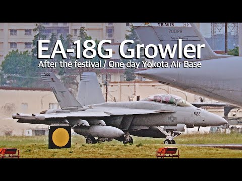 [横田基地] 友好祭の後、EA-18GグラウラーとC-17グローブマスターIIIが降りてきた　YOKOTA AIR BASE　EA-18G Growler・C-17 Globemaster III