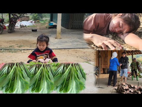 Single father, picking herbs to sell, daughter selling vegetables, wife suffering from depression