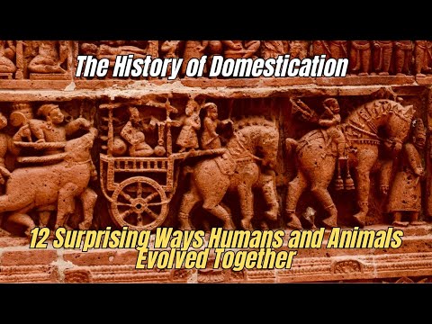 ⛔ The History of Domestication❗12 Surprising Ways Humans and Animals Evolved Together 🔥