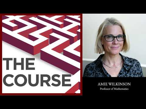 Episode 115 - Amie Wilkinson: "I love communicating math."