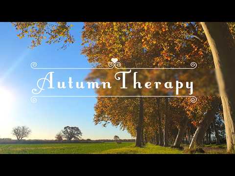 Warm Autumn Meditation🍂AUTUMN THERAPY🍂Healing Frequency | Positive Energy Forest Ambience Meditation