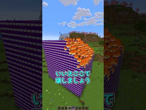 これはマイクラのバグなの？#マインクラフト #minecraft