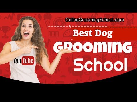 Best Grooming School - Best Dog Grooming School - Dog Grooming School Special