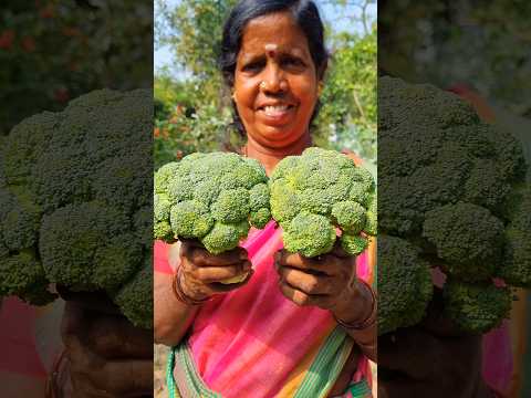 Broccoli Fry Recipe #shorts