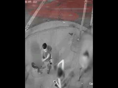 Surveillance cam saved man from monkeys accusation  #MGTOW #redpill