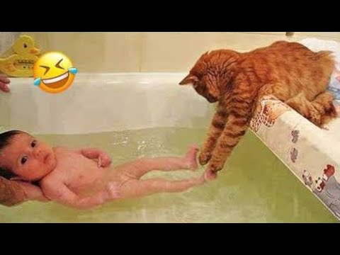 Intelligent Cats Vs Dogs Funny videos | ♥️🤣🤣New Funny videos daily | Wait For End Part