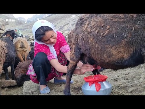 farthest place for nomads to live in Afghanistan