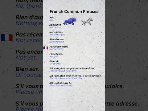 French Common Phrases Part 9 #LearnFrench #FrenchPhrases