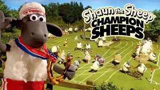 Full Episodes Compilation 🏆 Championsheeps 🐑 Shaun the Sheep #sport #ShaunTheSheep