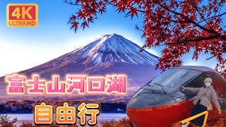 日本旅遊富士山河口湖｜必去「富士景觀特急」觀光列車｜HAOSTAY西瓜屋超可愛台灣人開的飯店｜河口湖自然生活館｜文義氣息久保田一竹美術館｜日本旅遊觀光美食4KVLOG東京自由行必去景點#1