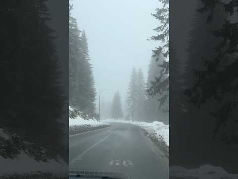 #road #roadtrip #driving #drive #driver #serbia #mountains #way #life #lifestyle #snow #winter #fog