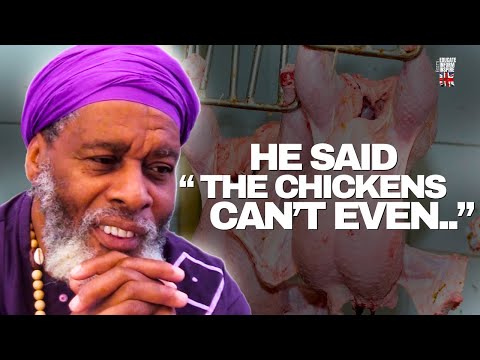 "The Crazy Thing a Chicken Farmer Told Me About Chickens" Bouabti Fahkara