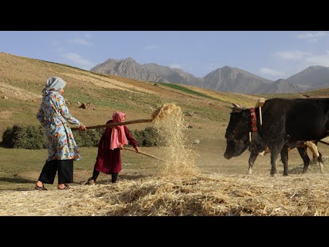 Rural life and daily activities of girls in remote villages of Afghanistan