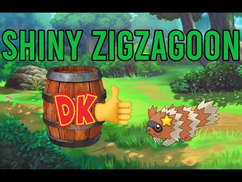 POKEMMO SHINY ZIGZAGOON REACTION #pokemmo