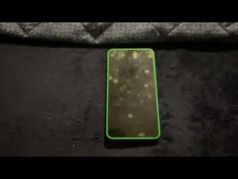 Nokia lumia  630 #cricket