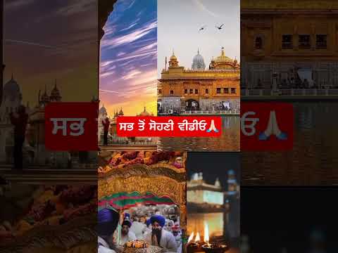 ਸਭ ਤੋਂ ਸੋਹਣੀ ਵੀਡੀਓ🙏🏻 #goldentempleji #chopehralive #babadee#viral #video #trending #shorts #art