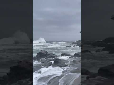 #australia #Seacliffebridge #coalcliff #04march2024 #sea #Whave #march2024 #beach #rockfishing