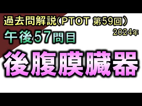 【過去問解説：第59回国家試験-午後57問目】後腹膜臓器【理学療法士・作業療法士】