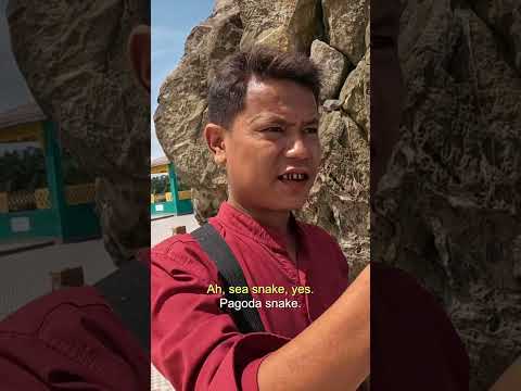 Exploring Snake Island in Myanmar 🇲🇲