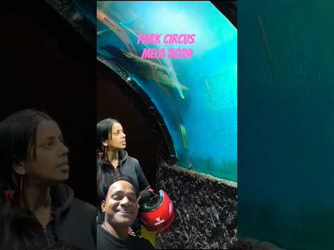 First Time In Kolkata Underwater Aquarium / #food #streetfood #travel #vlog #fishlovers #hugefish