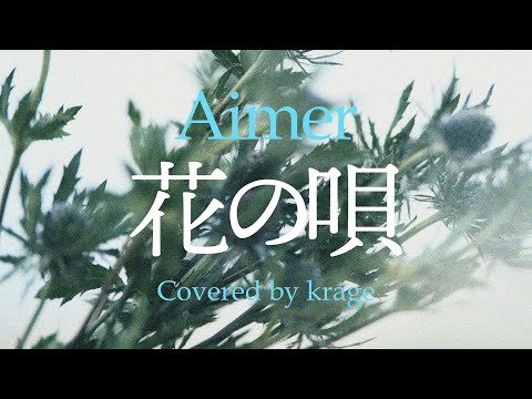 Aimer - Hana no uta (Covered by krage)