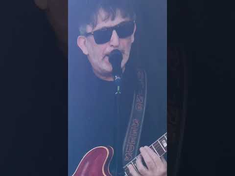 Lightning seeds live ￼ Hardwick Festival 2024 ￼#LiveMusic #LightningSeeds #HardwickFestival