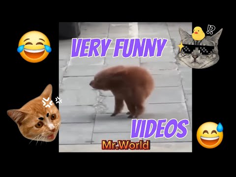 compilation of very funny videos,😜  trynottolaugh😁, funniestvideosever, summary of the week.