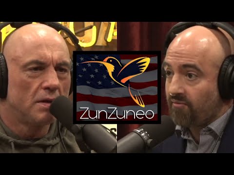 USAID secretly created 'Cuban Twitter' to stir unrest | Joe Rogan & Mike Benz