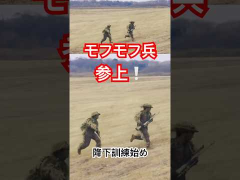 モフモフ兵参上！令和7年空挺降下訓練始め