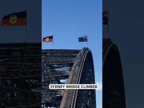 BRIDGE CLIMBED AUSTRALIA #shorts #australia