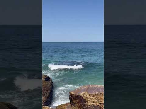 #beachlife #beachfishing #australia #Sept2023 #Tallowbeach #Boxhead #nsw #sydney #salmon