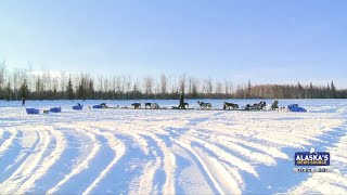 Tuesday evening Iditarod update: Mushers in Tanana