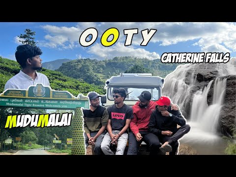 Chennai-Ooty😍❄️ | Badagas Marriage function|Mudumalai forest | #catherine #falls #ooty #vickysvenue